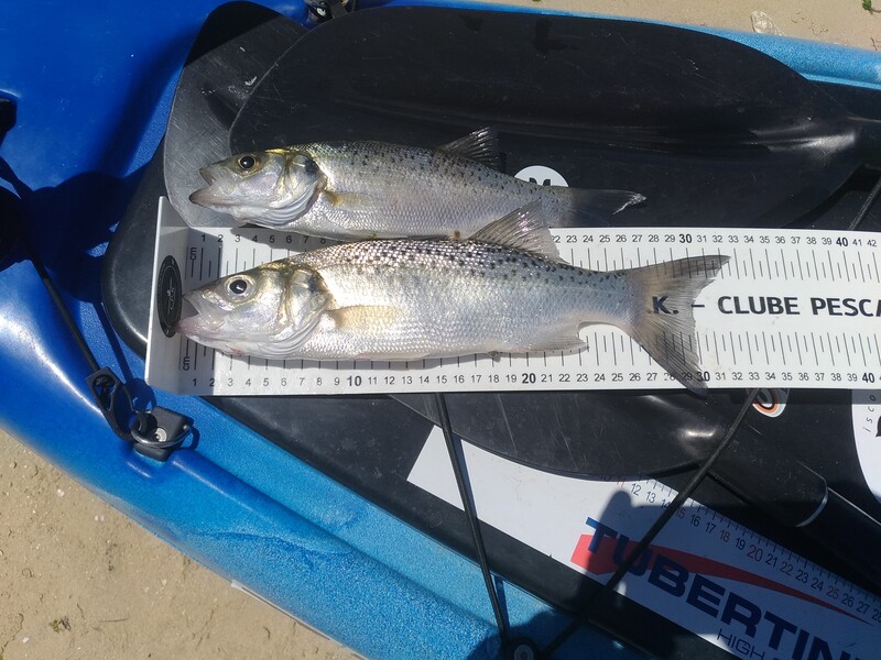 Fish Measure Picture
